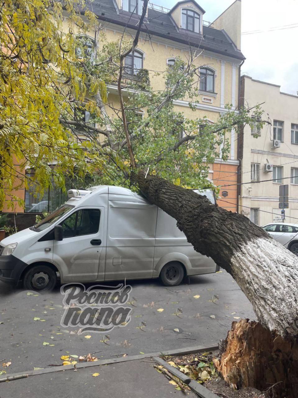 Деревопад в Ростове, будьте аккуратнее!  В Ростове на улице Текучева сильный ветер повалил дерево. Его ствол упал прямо на проезжую часть.   Дерево упало и на улице Суворова. Оно задело микроавтобус: его придавило упавшим стволом.    Новости №1 в Ростове  Прислать новость/фото