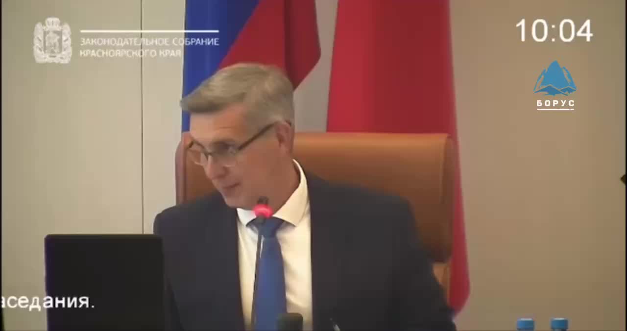 Рассмотрение законопроекта об эвтаназии бездомных собак отложено в Красноярском крае