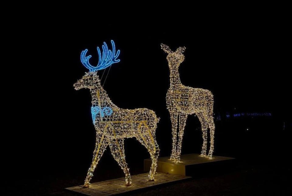 Четырёхметровые олени появились в парке Зеленоградска С ними фотографируются местные жители и туристы Фото есть Делитесь в комментариях Фото Администрация Зеленоградска