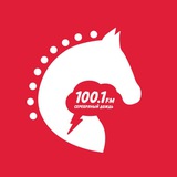 Аватар Телеграм канала: Серебряный Дождь