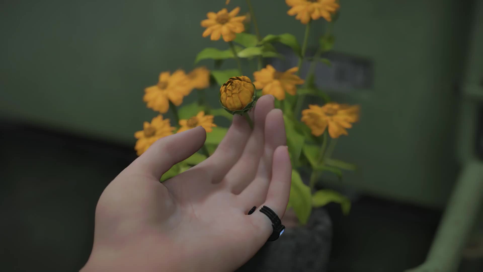 The Game Awards 2025: Ожидаемые анонсы и награждение лучших игр года