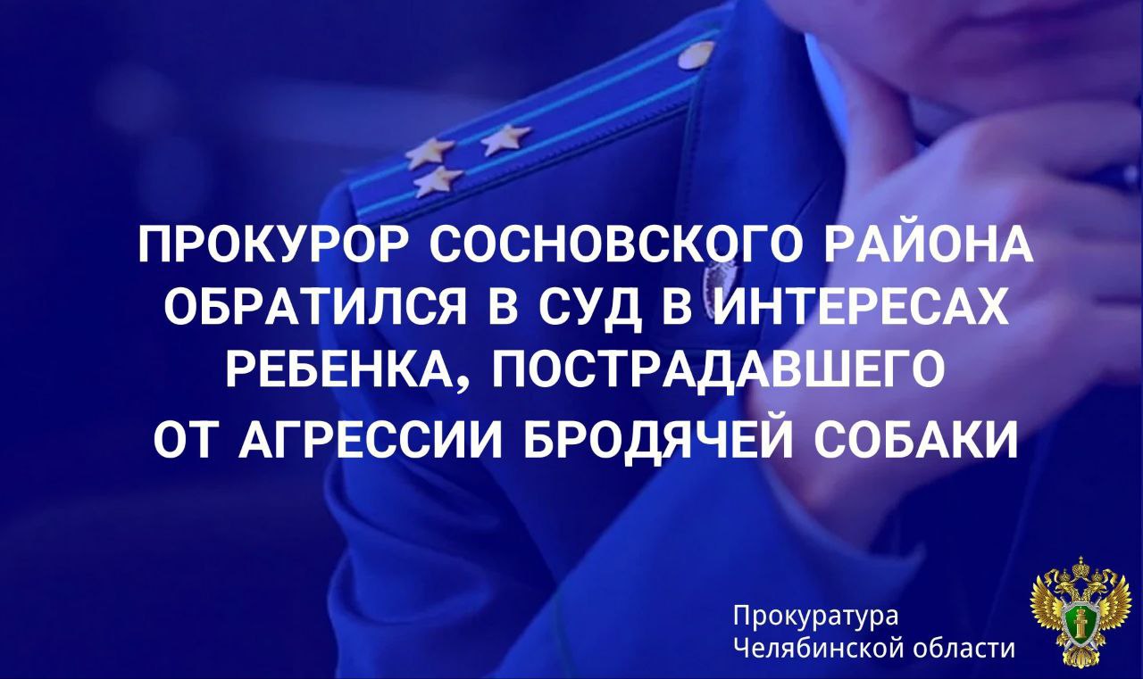 Прокуратура Сосновского района проверила обращение местной жительницы по факту нападения бродячей собаки на дочь. Установлено, что в дневное время 30.03.2025 на детской площадке в п.Есаульский бродячая собака напала на девочку 2016 г.рождения, причинив ей укушенную рану правой кисти. После случившегося ребенок вынужден проходить лечение в амбулаторных условиях, следовать ряду ограничений в питании и отдыхе. Прокурором района в суд предъявлено исковое заявление о взыскании с администрации Сосновского муниципального района в пользу малолетнего ребенка компенсации морального вреда в размере 100 тыс. рублей.