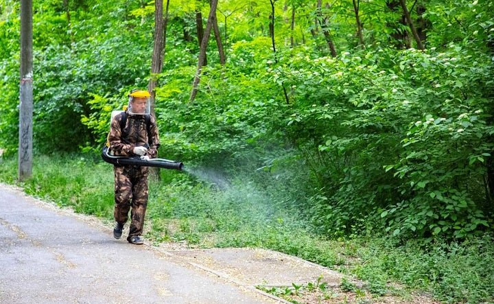 В Ростове началось распыление препарата от клещей  В Ростове приступили к обработке улиц, парков и скверов от клещей, которые уже успели проснуться. По информации администрации города, обработку уже провели на улицах Шолохова, Зелёная, Зои Космодемьянской, Можайская, Щербакова, Панфиловцев, Малое Зелёное кольцо и Днепропетровская.  Кроме того, 13 марта запланирована обработка парка Авиаторов, Темерницкой рощи  в границах: Днепровский, Орская, Каскадная, Днепропетровская и Кудрявая , а также зелёной зоны на территории городской набережной.  «Препарат распределяют по поверхности при помощи специальных мотоопрыскивателей. Используется вещество цифокс. Оно безопасно для человека, но губительно для клещей», — уточнили в администрации города.  #новости #ростов #ростовскаяобласть #клещи #обработка #парк