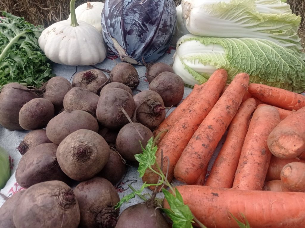 Две тонны овощей продали в Рязани на ярмарках выходного дня Об итогах ярмарок выходного дня информирует региональное министерство сельского хозяйства и продовольствия В Рязани 13 ноября ярмарки работали на пяти площадках Торговлю на 277 местах осуществляли более 160 рязанских предпринимателей в том числе фермеры и граждане которые ведут личные подсобные хозяйства Всего было реализовано 7 т мяса полуфабрикатов и колбасных изделий 4 2 т молока и молочных продуктов 3 6 т хлеба и хлебобулочных изделий 1 6 т живой рыбы 2 т картофеля 2 т овощей 7 5 т яблок и груш 0 3 т меда и продуктов пчеловодства Следующие ярмарки выходного дня в областном центре состоятся 20 декабря на территории УРТ на ул Дзержинского возле ЦНТИ на ул Крупской около ТЦ КИТ на ул Станкозаводской у КДЦ Октябрь и ТЦ Европа на ул Новоселов Добавим еженедельные ярмарки проводят министерство сельского хозяйства и продовольствия Рязанской области и региональным министерство экономического развития Фото Люд