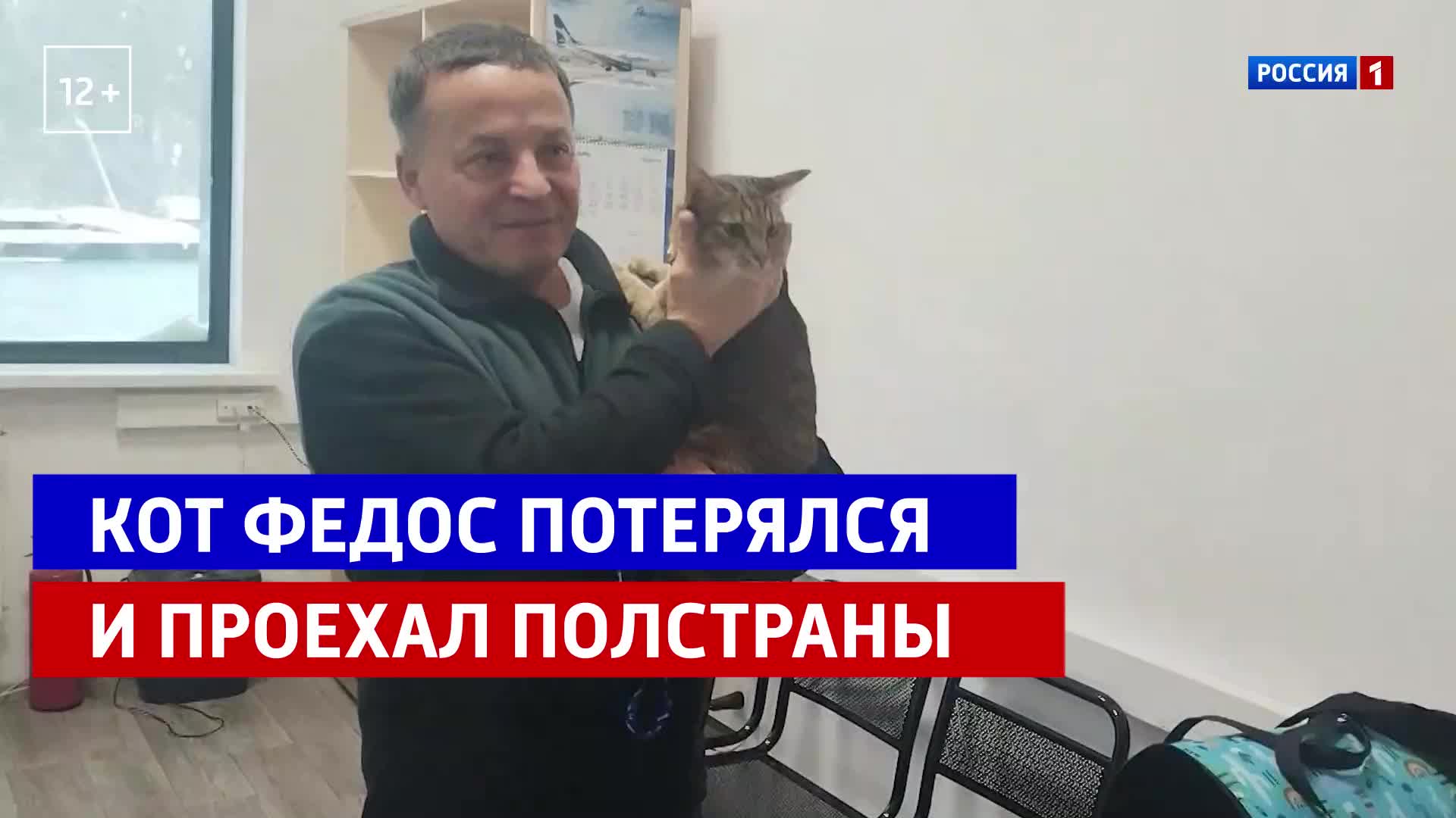 Кот Федос, сбежавший в Казани, был найден в Амурской области благодаря помощи машиниста и инженера