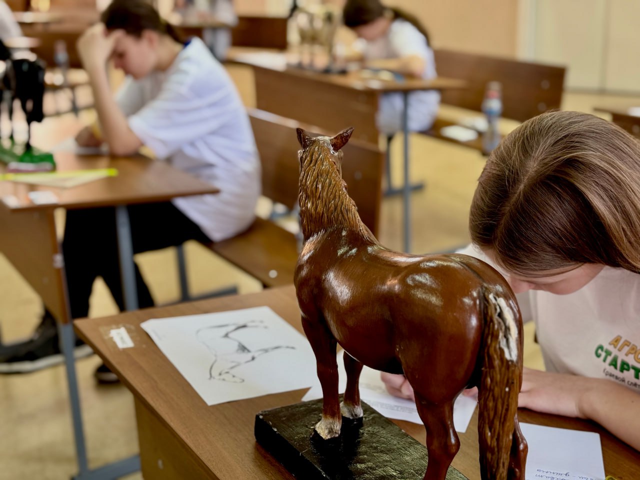 В сельских школах края появятся агротехнологические классы. Они станут первой ступенью в системе подготовки специалистов для сельскохозяйственной отрасли. Первые агроклассы откроются уже в этом году в Назаровском, Балахтинском и Дзержинском районах. Здесь при активном участии работодателей и преподавателей техникумов ученики 7-11 классов будут знакомиться с современными технологиями сельского хозяйства и углубленно изучать профильные предметы. Работу выполнят в рамках федерального проекта «Кадры в АПК» нацпроекта «Технологическое обеспечение продовольственной безопасности».