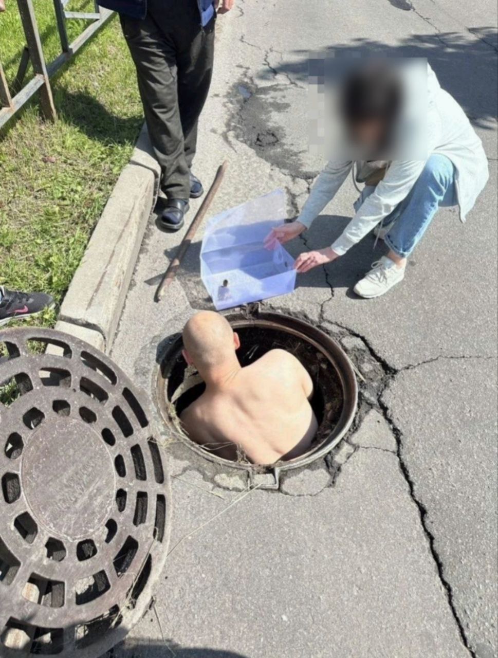 Петербуржцы спасли утят, которые провалились в люк на Богатырском проспекте. Очевидцам помог дворник, который принес лом, чтобы открыть люк. После этого маленьких пернатых достали, посадили в коробку вместе с мамой-уткой и выпустили у ближайшего водоёма. kdpiter