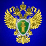 Аватар Телеграм канала: Прокуратура Амурской области