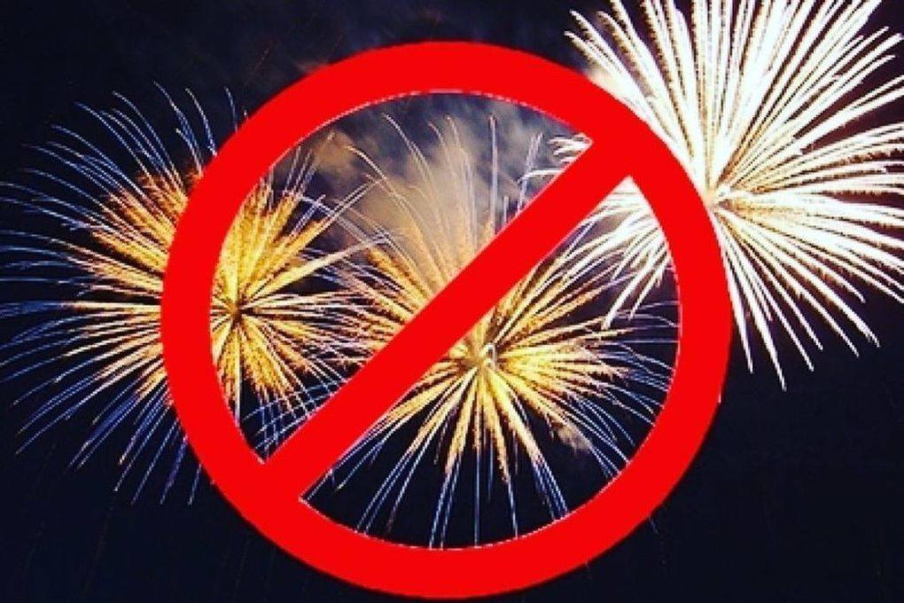 Фейерверки пугают питомцев в праздники в Калужской области пропали 60 животных В новогодние каникулы 2024 2025 годов в России потерялось 6 740 домашних животных Такие данные приводит сервис Pet911 В Калужской области за праздники пропали 60 питомцев 36 собак и 24 кошки Эксперты предупреждают в сезон 2025 2026 годов число пропаж может вырасти ещё на 7 Основная причина фейерверки и петарды Из за громких звуков животные пугаются и убегают Ветеринары и зоопсихологи советуют готовиться к праздникам заранее проверить адресники и чипы надёжно застёгивать ошейники сократить прогулки и выводить собак только на поводке Дома для питомца лучше сделать тихое и безопасное место где он сможет переждать салюты Наш канал в МАХ