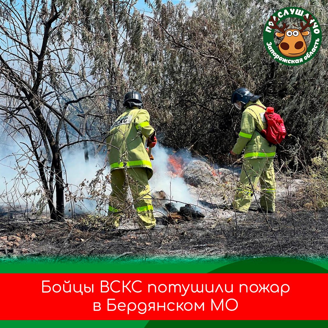 Добровольцы на передовой борьбы с огнём!  В Бердянском муниципальном округе произошёл ландшафтный пожар, и на помощь сразу же пришли добровольцы из Запорожского и Луганского региональных отделений Всероссийского студенческого корпуса спасателей.   Благодаря их быстрой реакции и профессионализму удалось быстро локализовать пожар и предотвратить его распространение на жилые дома.  Читайте самые интересные и актуальные новости ВКонтакте и в Telegram