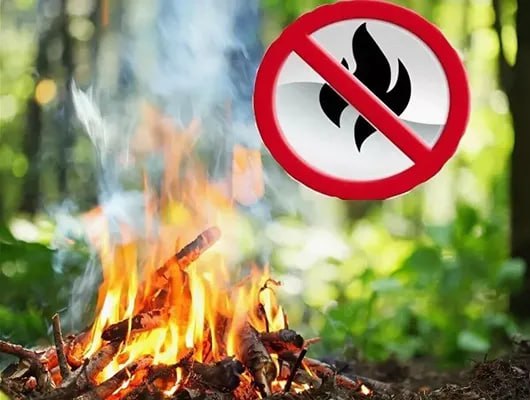 ВАЖНО На всей территории Луганской Народной Республики до 31 октября 2025 года установлен особый противопожарный режим Соответствующее постановление принято Правительством ЛНР На период действия особого противопожарного режима введены дополнительные требования пожарной безопасности. Вот основные из них: запрет на использование открытого огня, в том числе для приготовления пищи, сжигания всех видов отходов, включая территории жилого фонда и любой из форм частной собственности; обеспечение регулярного вывоза мусора с контейнерных площадок, недопущение наличия на контейнерных площадках горючего мусора; создание противопожарных минерализованных полос не менее 10 метров на границах населенных пунктов, детских лагерей и дачных массивов; установление в селах у наиболее пожароопасных объектов емкостей с водой объемом не менее 0,5 куб. м и размещение первичных средств пожаротушения; обеспечение безвозмездного использования общественного транспорта для экстренной эвакуации населения; установка на проселочных дорогах, ведущих в лес, шлагбаумов и других средств, обеспечивающих ограничение проезда; запрет на посещение лесов при установлении 4-5 классов пожарной опасности; обеспечение надлежащего состояния имеющихся источников наружного противопожарного водоснабжения, обустройство открытых водоемов подъездами с площадками для установки пожарной техники и проч. Прием сообщений от населения информации о лесных пожарах и выжигании сухой растительности ведется по номеру 101.