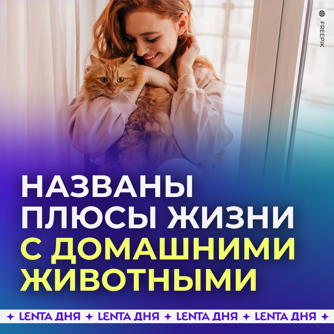 Кошки и собаки могут укрепить иммунитет хозяев Как рассказали в Минздраве Карелии питомцы влияют на бактерии в доме поэтому иммунная система людей становится сильнее К тому же полезны и игры с животными они поддерживают нервную систему благодаря выработке гормонов счастья Ещё на психику благоприятно влияет сон с питомцами особенно это касается людей с депрессией Но медики напомнили что шерсть и слюна животных могут спровоцировать аллергию или кожные заболевания Вдобавок они советуют регулярно водить пушистых друзей к ветеринару и мыть руки после игр с ними чтобы не подхватить инфекцию Подпишись на Ленту дня MAX ТГ Участвуй в розыгрыше