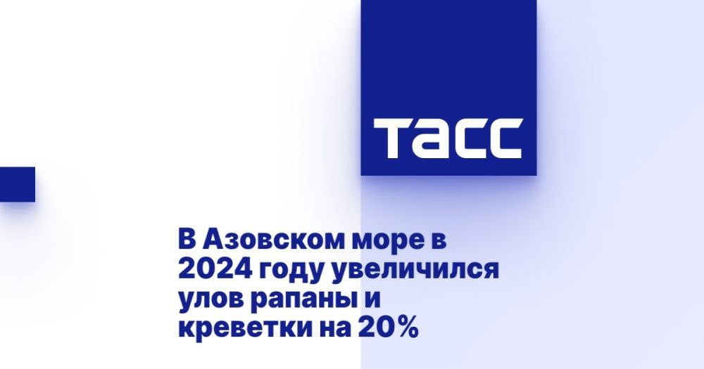 В Азовском море в 2024 году увеличился улов рапаны и креветки на 20% ⁠ МЕЛИТОПОЛЬ, 14 марта. /ТАСС/. Объем вылова рапаны и креветки в Азовском море за 2024 год увеличился на 20% по сравнению с 2023 годом. Об этом сообщили ТАСС в пресс-службе Росрыболовства.  "Уловы моллюска-рапаны и креветки черноморской увеличились по сравнению с 2023 годом на 20%. Увеличение вылова рапаны и креветок произошло также за счет расширения района их промысла в Северном Приазовье", - говорится в сообщении ведомства.  Отмечается, что в последние годы Азово-Черноморский филиал ФГБУ "Всероссийский научно-исследовательский институт рыбного хозяйства и океанографии"  АзНИИРХ  расширил ресурсные исследования в Азовском море и прилегающих водоемах. Полученные данные позволили расширить районы и увеличить объемы добычи рекоме...  Подробнее>>>