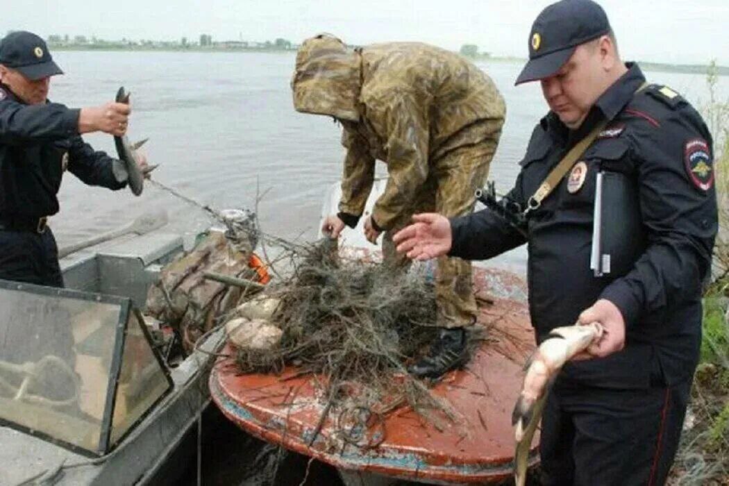 В России за год осудили почти две тысячи любителей незаконной рыбалки. Российские суды в 2024 году вынесли приговоры почти двум тысячам любителей незаконной рыбалки: 44 человека отправились в колонии, остальные выплатили 24 миллиона штрафов, сказано в статистике Судебного департамента при Верховном суде. Статья 256 УК РФ предусматривает наказание за незаконную рыбалку, например, в местах нереста рыб, в заповедниках или с использованием взрывчатых веществ, химикатов или электричества, которые могут привести к массовой гибели рыб. Всего по этой статье в прошлом году осуждено 1953 человека, среди них нет ни одной женщины. Суды отправили 44 осужденных в колонии, 617 получили условные сроки, 356 отделались штрафами. Их общая сумма превысила 24 миллиона рублей.
