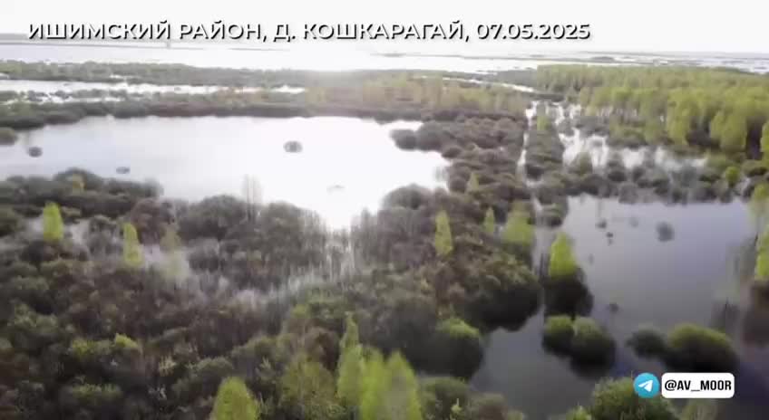 Паводок в Тюменской области: уровень воды растет в Абатском районе, эвакуация в пяти населенных пунктах