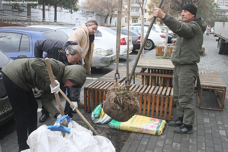 В Кургане началась осенняя высадка деревьев  Новые деревья взамен срубленных или засохших, а также в качестве дополнительного озеленения высадят в разных районах Кургана: на улицах, в парках, скверах и других общественных территориях.  Сегодня деревья высадили в районе центральной площади. Всего в городе появится более 600 лип, пирамидальных тополей, вязов, шаровидных ив, кустов сирени и черёмухи.