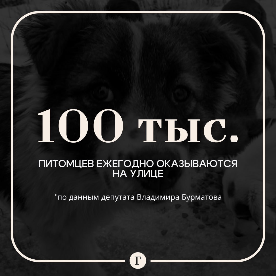 100 тысяч животных выбрасывают на улицу после окончания дачного сезона Об этом рассказал депутат Владимир Бурматов Он назвал ситуацию очень тяжелой Циничная абсолютно история потому что люди в сентябре в начале октября выбрасывают тех кого они взяли в апреле в мае Полгода собачка пожила там от нее избавились Все наигрался ребенок Согласно КоАП за выброшенное животное предусмотрены штрафы до 30 тыс руб Читайте Газету Ru в MAX Участвуйте в розыгрыше