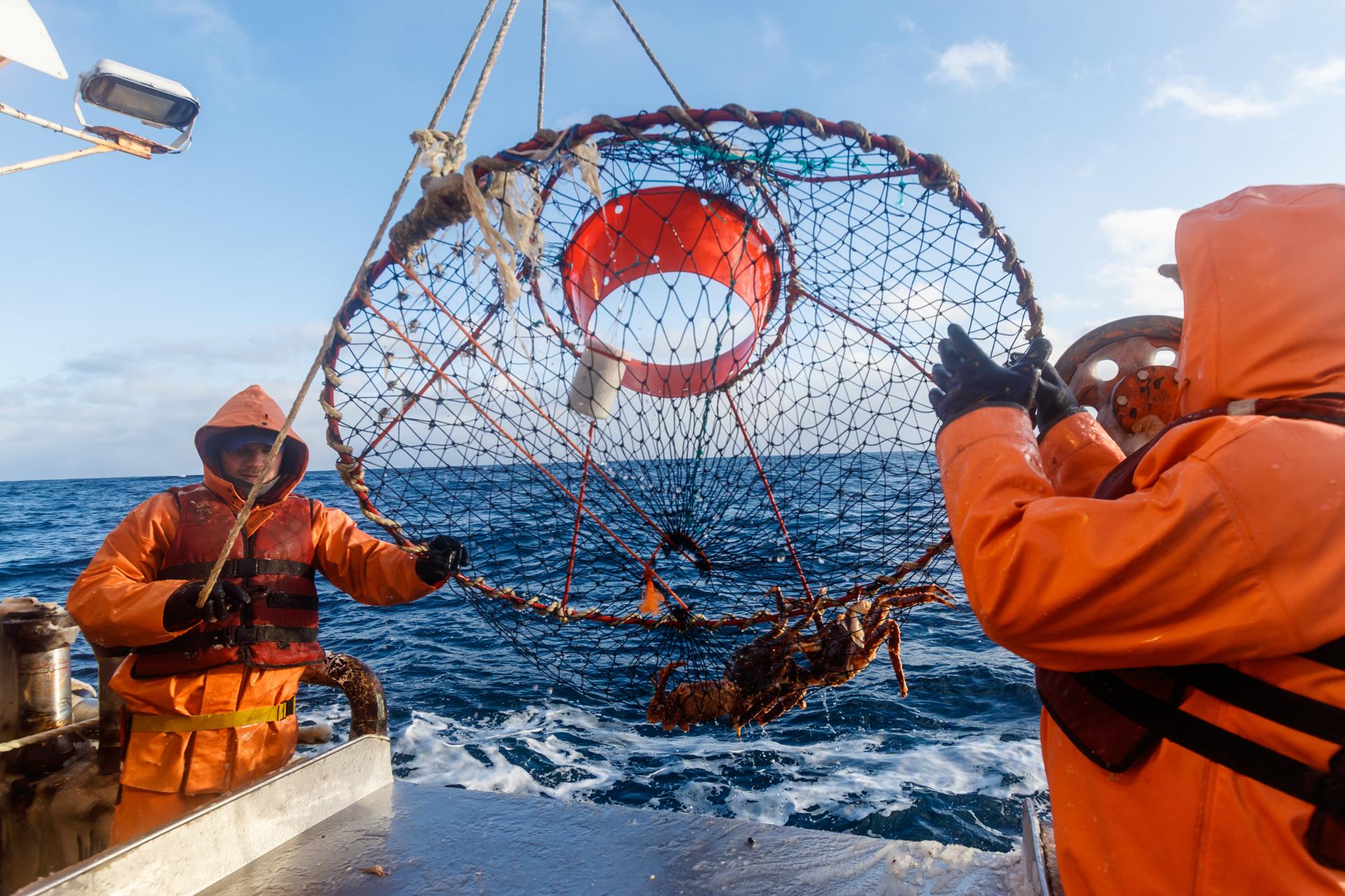 В Херсонской области создается Ассоциация рыбаков Новая Ассоциация станет официальной площадкой для диалога между бизнесом и властью центром компетенций и драйвером позитивных изменений в отрасли Участники уверены объединение опыта ресурсов и инициатив позволит вывести региональное рыболовство на качественно новый уровень обеспечив его стабильность и процветание для будущих поколений При поддержке Управления рыболовства и аквакультуры Министерства агропромышленного комплекса продовольственной политики и рыболовства Херсонской области в городе Геническе состоялось историческое событие для местного рыболовного сообщества Представители рыболовных хозяйств индивидуальные предприниматели провели успешное учредительное собрание результатом которого стало создание Ассоциации рыбаков Херсонской области Мероприятие прошедшее в деловой и конструктивной атмосфере собрало более 30 участников что свидетельствует о высокой заинтересованности отрасли в консолидации усилий Основной целью создания Ассоциации стало формирование единого профессионального голоса для защиты общих интересов решения накопившихся проблем и устойчивого развития рыболовства в регионе Успешное проведение учредительного собрания это только начало большого пути