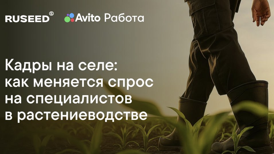Авито Работа и селекционно семеноводческая компания RUSEED провели совместное исследование ситуации с кадрами в российском растениеводстве в 2025 году Аналитики изучили спрос и предложение на рынке составили картину востребованных профессий условий труда и необходимых работодателям навыков кандидатов Главные тренды За 10 месяцев 2025 года число вакансий для работников АПК увеличилось более чем вдвое 135 год к году Одна из причин расширение сельхозпроизводства Среднее зарплатное предложение выросло на 16 и достигло 72 000 руб мес Самые востребованные специалисты агрономы Число вакансий для них выросло на 35 а среднее зарплатное предложение для специалистов достигло 100 000 руб мес В лидерах по росту зарплат СФО 50 и Урал 48 Работодатели все чаще ищут кандидатов с цифровыми компетенциями умеющих работать с программами онлайн платформами и системами на базе ИИ Растут средние зарплатные предложения и для менеджеров по продажам в агросфере до 90 000 руб логистов до 83 000 руб Работодатели активно привлекают молодежь число вакансий для студентов с гибкой занятостью выросло на 45 За 10 месяцев 2025 года мы видим рост числа вакансий для работников АПК на 135 и увеличение зарплатных предложений на 16 по сравнению с таким же периодом прошлого года Это говорит и о спросе на кадры и о том что предприятия готовы платить больше специалистам особенно в условиях дефицита Агросектор активно модернизируется и применяет интернет вещей роботизированные комплексы с ИИ датчики с сим картами для мониторинга технологии точного земледелия автоматизированные системы контроля что повышает требования к компетенциям сотрудников Наконец стимулирует развитие отрасли и рост торговли сельхозпродукцией с дружественными странами комментирует управляющий директор Авито Работы Антон Уваров Ситуация с кадрами в нашей отрасли меняется Мы уже знаем где найти просто хорошего растениевода Благодаря совместным усилиям государства учебных заведений и бизнеса таких специалистов становится больше Сегодня наш фокус смещается в сторону работников не только с аграрными но и с цифровыми компетенциями нужны специалисты умеющие работать с базами данных платформами системами искусственного интеллекта За этим будущее отрасли отмечает управляющий партнер селекционно семеноводческой компании RUSEED Марк Гехт Новости АвитоРабота RUSEED кадрыАПК