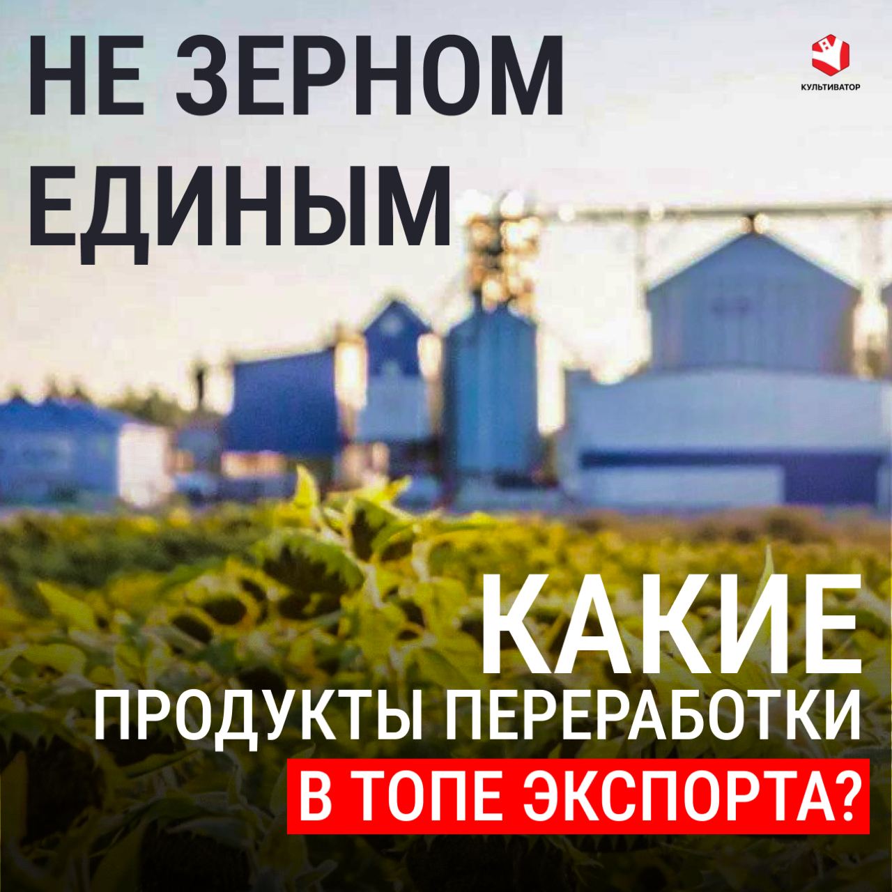 К 2030 году экспорт продукции АПК вырастет до $45 млрд, а производство увеличится на 25% по сравнению с 2021 годом, считают эксперты. Россия активно диверсифицирует каналы поставок, увеличивая долю готовой продукции в структуре экспорта. Это включает не только базовые сельскохозяйственные товары, но и продукцию глубокой переработки, а также побочные продукты переработки сельхозкультур.   Экспорт побочных продуктов переработки может стать стратегически важное направлением для российских аграриев, способствующим увеличению доходов и расширению рыночных возможностей.  В нашем новом материале - обзор продуктов-лидеров экспорта в этой категории.