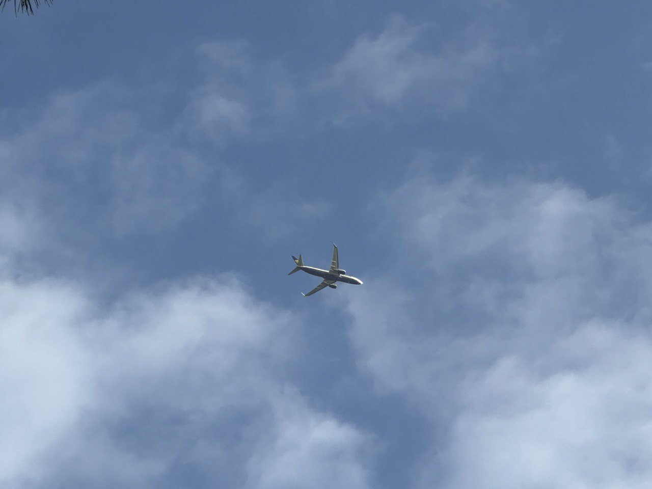 Летевший из Сочи в Кемерово самолет экстренно приземлился в Барнауле из за технической неисправности Об этом сообщил губернатор Кузбасса Илья Середюк На борту лайнера находилось 148 человек Всех разместили в гостинице при аэропорте и обеспечили питьем и питанием Ориентировочно самолет вылетит в Кемерово 21 55 по местному времени 17 55 по московскому По этому направлению отправится другой борт из Санкт Петербурга поскольку этот временно отстранили от эксплуатации Кубанские Новости Мы в MAX