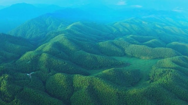 Китай опубликовал Белую книгу о низкоуглеродном развитии В документе заявляется что Китай приверженный принципам многосторонности и международного сотрудничества придаёт мощный импульс глобальному климатическому управлению В частности в Белой книге утверждается следующее Поднебесная установила энергетическое партнёрство с 34 государствами партнёрами Пояса и пути и сотрудничает с более чем 100 странами и регионами в рамках проектов в области зелёной энергетики Оборудование для ветро и фотоэнергетики экспортированное Китаем в период 14 й пятилетки сократило выбросы углерода в других странах примерно на 4 1 млрд тонн С 2016 года КНР предоставила 177 млрд юаней проектного финансирования чтобы поддержать другие развивающиеся страны в наращивании их потенциала реагирования на изменение климата К концу октября этого года КНР подписала 55 меморандумов о взаимопонимании по сотрудничеству Юг Юг в борьбе с изменением климата с 43 развивающимися странами и провела более 300 сессий в рамках программ по наращиванию потенциала Китайская Панорама