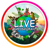 Аватар Телеграм канала: 🌳LIVE Биробиджан