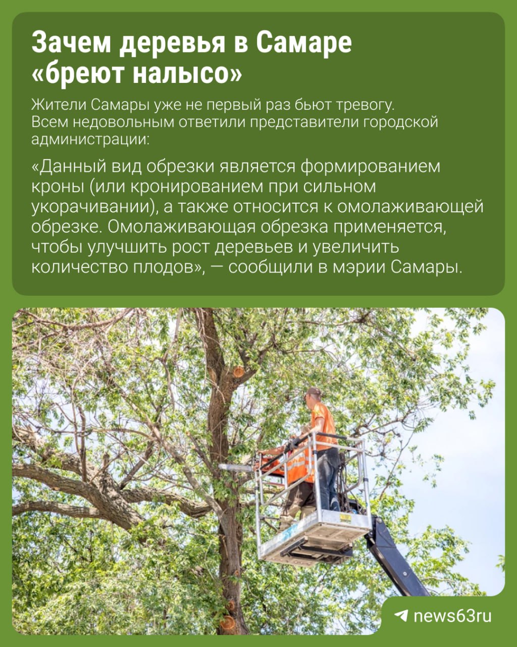 Жители города выражают недовольство радикальной обрезкой зелёных насаждений которая портит внешний вид улиц В мэрии пояснили что такая обрезка является омолаживающей и проводится по строгой технологии для улучшения роста деревьев 63RU ТЕПЕРЬ В MAX