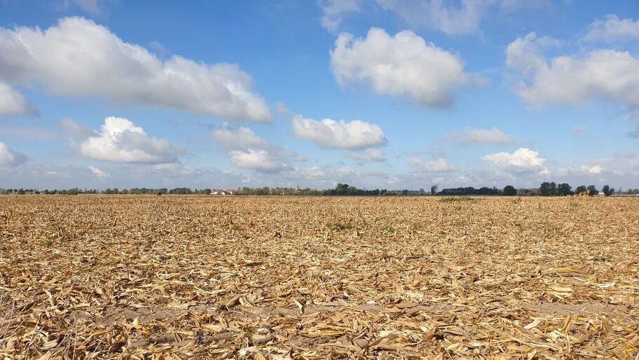 Более 900 млн руб выплатили аграриям Херсонской области в виде субсидий Субсидии на проведение агротехнологических работ получили сельхозпроизводители Херсонской области Как сообщили ХАН в пресс службе регионального Минсельхоза помощь предусматривает частичную компенсацию затрат при выращивании зерновых и зернобобовых культур По данной программе уже осуществлены выплаты сельхозтоваропроизводителям на сумму более 900 млн руб Также планируется компенсировать часть понесенных затрат хозяйствам у которых в результате почвенной засухи была зафиксирована полная гибель посевов рассказали в пресс службе Министерства агропромышленного комплекса продовольственной политики и рыболовства Херсонской области Компенсация понесенных затрат при выращивании зерновых и зернобобовых культур составляет 3500 рублей на 1 га посевной площади а масличных 1400 рублей на 1 га