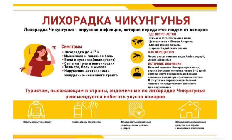 В Москве зафиксирован случай лихорадки чикунгунья Роспотребнадзор Пациентка заразилась во время отдыха на Сейшельских островах где её кусали комары и она не пользовалась средствами защиты После возвращения в Москву девушку госпитализировали Лихорадка чикунгунья не передаётся от человека к человеку только через укусы комаров определённых видов
