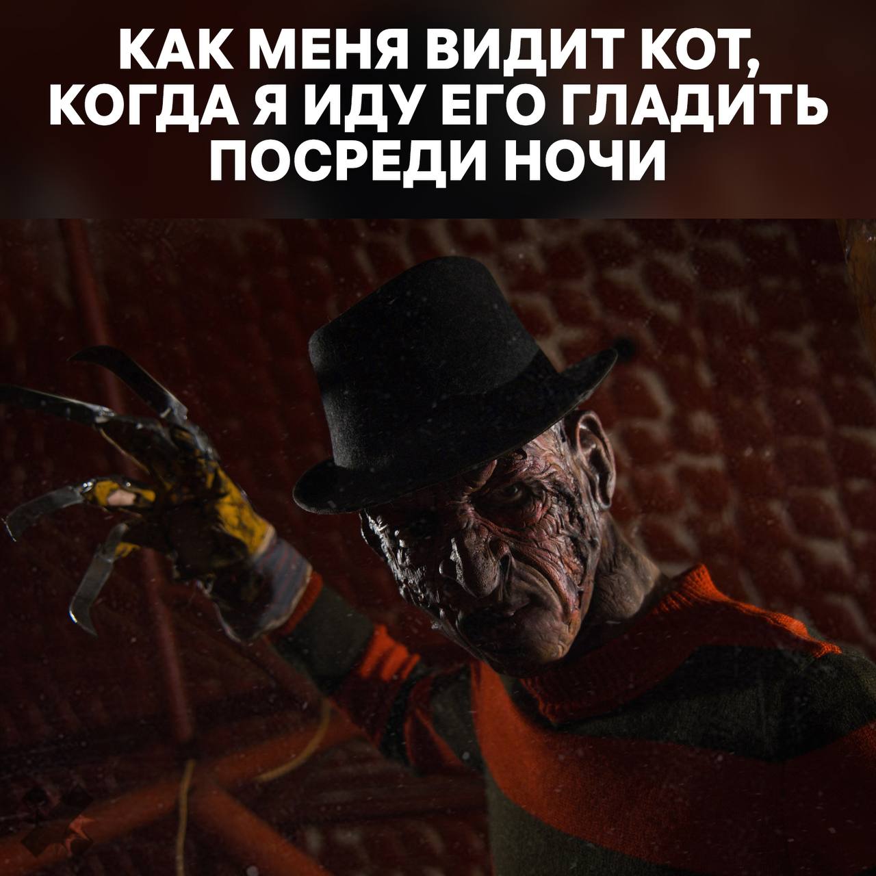 Котиков нельзя тискать без разрешения Ветеринары заявили что обнимать и прижимать пушистых насильно вредно для них самих слишком частые объятия являются для котов стрессом Он может привести к выпадению шерсти а в самых страшных случаях к смерти Гладить котеек эксперты советуют только тогда когда они сами приходят за лаской Возможно котики поработят мир быстрее чем роботы НЕ МОРГЕНШТЕРН