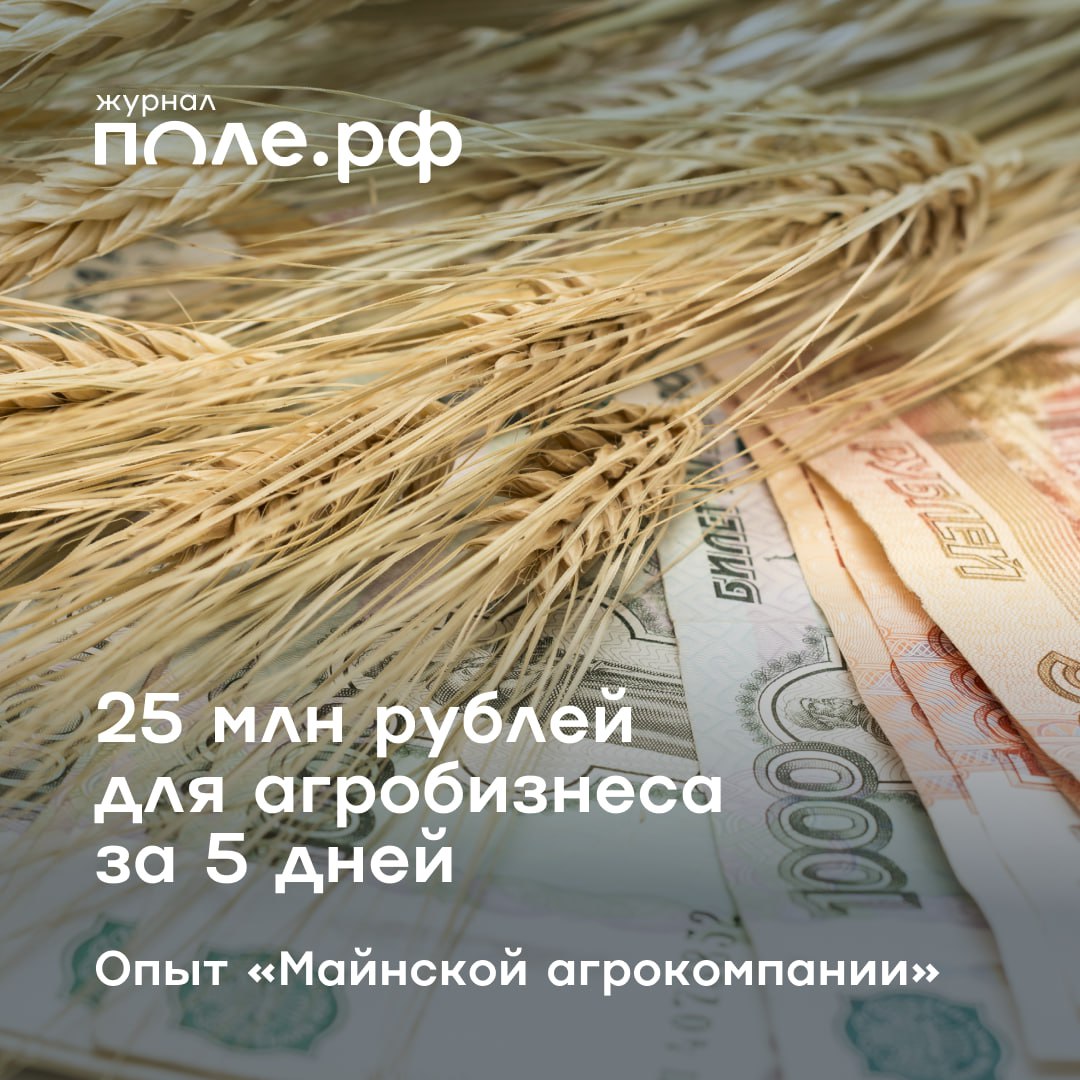 Прозрачные условия финансирования с учетом сезонной специфики агробизнеса – то, чего не хватает аграрному сектору в текущих экономических условиях.   «Майнская агрокомпания» обрабатывает 3,6 тыс. гектаров земли в Ульяновской области, выращивает стандартный набор культур для региона: озимую и яровую пшеницу, пивоваренный ячмень, сою, масличный лен.   «Первых мест по региону или каких-либо других громких регалий мы не имеем. Но все время существования мы развиваемся и всегда находимся в процессе инвестирования», – рассказывает руководитель Рамиль Санатуллов.   Однако не всегда у аграриев есть возможность получить льготный кредит или попасть в программу льготного лизинга, а технику менять и семена закупать нужно к сезону, без отсрочек. В этом сезоне закупить все необходимые товары для сельхозпроизводства «Майнской агрокомпании» помог специализированный финансовый продукт «Поле Финанс».  «Получили 25 млн рублей. Приобрели с помощью этих средств в том числе семена, удобрения, ГСМ и средства защиты на сезон. Очень удобный новый инструмент на рынке», – поделился глава предприятия.   О том, как работает и развивается «Майнская агрокомпания», читайте в статье журнала Поле.РФ.