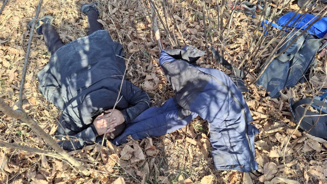 Браконьеры-всадники пойманы с поличным — суд вынес приговор Двое нарушителей верхом на лошадях пробрались к Дальневосточному морскому заповеднику за трепангом. Они рассчитывали на скрытность, но были задержаны государственными инспекторами «Земли леопарда». При себе у браконьеров — водолазное снаряжение и два мешка трепанга — более 900 особей. В результате нарушители получили два года условного срока и выплатят более миллиона рублей штрафа. Приговор очередным браконьерам вынес Хасанский районный суд Приморского края. Злоумышленников выследили с помощью тепловизора. Лошади были спрятаны в лесу. Браконьеры пытались бежать, но были оперативно задержаны на берегу. Всё зафиксировано на видео. Всё снаряжение конфисковано. Трепанги возвращены в море. Заповедное море — не место для хищничества. «Земля леопарда» и дальше будет жёстко пресекать попытки браконьерства. Подробнее — Здесь «Земля леопарда»