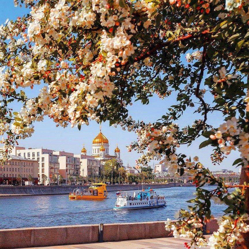 Праздники по случаю Дня города в Москве будут проходить 13 и 14 сентября, — Мэр Сергей Собянин  В этом году Столица отметит свой солидный 878-й день рождения     Подписывайтесь на — WhiteDirect