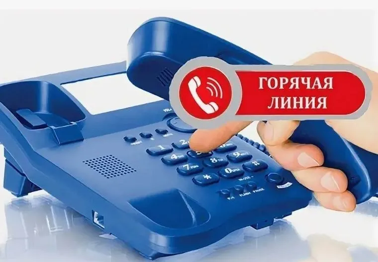 Будьте в курсе   В целях обеспечения безопасности и комфорта жителей и гостей областного центра в Гомеле организована горячая телефонная линия для приёма сообщений о фактах нахождения безнадзорных собак на территории города Своевременное информирование профильных служб позволяет оперативно организовать мероприятия по отлову безнадзорных животных и минимизировать риски возникновения опасных ситуаций для населения   Телефон горячей линии 375 29 677 37 30 служба отлова КУП Спецкоммунтранс Оперативность сообщения имеет важное значение для предотвращения возможных инцидентов и обеспечения безопасности горожан в том числе детей С пониманием отнеситесь к данному вопросу и активно используйте предоставленный канал связи для поддержания порядка на улицах города Гомеля