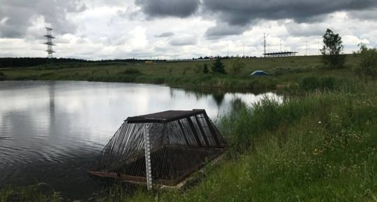 Лисичка застряла в очистном сооружении на берегу озера Сенеж в Солнечногорске. Рыжуля начала громко пищать, и это услышали местные жители. На помощь бедолаге приехали спасатели. Они вытащили лису, которая была в диком стрессе и с переохлаждением. Ее не стали отпускать, а передали ветеринарам.