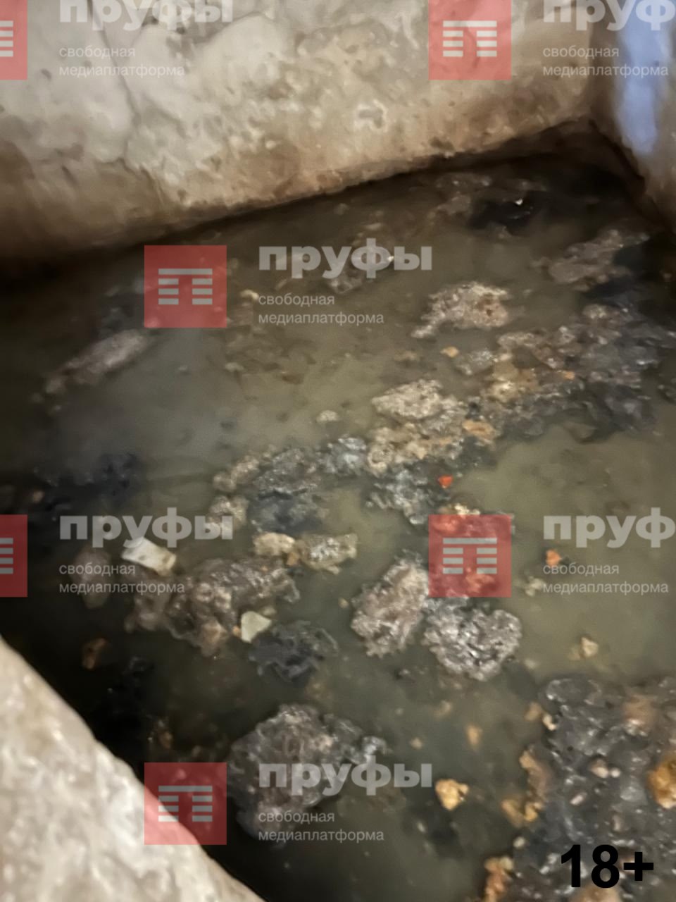 Уфимцы тонут в фекалиях  В комментариях к посту Радия Хабирова уфимка Елена К. сообщила о хронической проблеме в доме №36 по улице Ульяновых: подвал регулярно затапливает из-за засоров канализации на сетях.  По словам автора жалобы, в последний год это происходит всё чаще, практически каждый месяц. Жильцы вынуждены жить в антисанитарных условиях.   «Мы требуем остановить поток фекалий! Канализационные воды опасны для здоровья: появляется плесень и грибок, увеличивается количество насекомых и грызунов, в квартирах стоит постоянный запах и сырость. УК как всегда не реагирует. В ЖЭУ заявку приняли, но пообещали не устранить проблему, а только приехать и посмотреть завтра! Хотя по регламенту они должны локализовать аварийную ситуацию за полчаса после регистрации заявки или момента выявления подтопления! В любом случае, эта ситуация требует от УК незамедлительных работ», – пишет Елена К.  Также уфимка отметила, что подтопление представляет угрозу для здоровья и безопасности жильцов, а также приводит к затоплению фекалиями теплового пункта, где находится тепловой счётчик. Кроме того, постоянная сырость способствует разрушению фундамента, появлению трещин и деформации стен дома, что создает угрозу для конструкции здания и безопасности проживающих.  Елена К. также сообщила, что во время съемки со стены осыпалась штукатурка.   Обратная связь  Подписаться