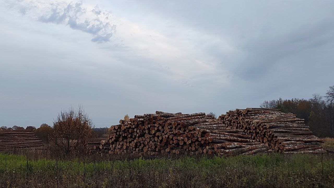 По постановлению прокуратуры Пошехонского района арендатор лесного участка оштрафован на 60 тысяч рублей за нарушение требований пожарной безопасности  Прокуратура Пошехонского района провела проверку исполнения требований законодательства при эксплуатации лесов Установлено что при заготовке древесины на территории Белосельского участкового лесничества Пошехонского района в лесах в условиях действия особого противопожарного режима арендатор лесного участка ООО Технофлекс в нарушение требований пожарной безопасности не организовал отделение заготовленной древесины минерализованной полосой шириной не менее 1 4 метра      По результатам проверки прокуратура района возбудила в отношении директора ООО Технофлекс дело об административно правонарушении по ч 3 ст 8 32 КоАП РФ нарушение правил пожарной безопасности в лесах а также внесла руководителю предприятия представление об устранении нарушений      По итогам рассмотрения актов прокурорского реагирования прокурора директор ООО Технофлекс привлечен к административной ответственности в виде штрафа в размере 60 тысяч рублей нарушения законодательства устранены