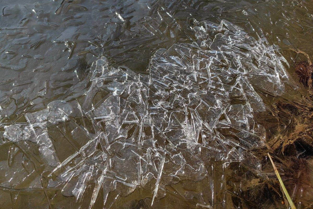 Девочка делала селфи на замерзшем озере в Краснодаре и провалилась под лед 18 января на одном из озёр двое подростков решили сделать селфи на замёрзшем льду Девочка отошла от берега примерно на 5 метров и лёд не выдержал она провалилась под воду С помощью друга ребёнок выбрался на берег Они зашли в ближайший магазин чтобы согреться и один из покупателей вызвал скорую Медики прибыли и оказали детям всю необходимую помощь угрозы жизни нет Кубанские Новости   Мы в MAX