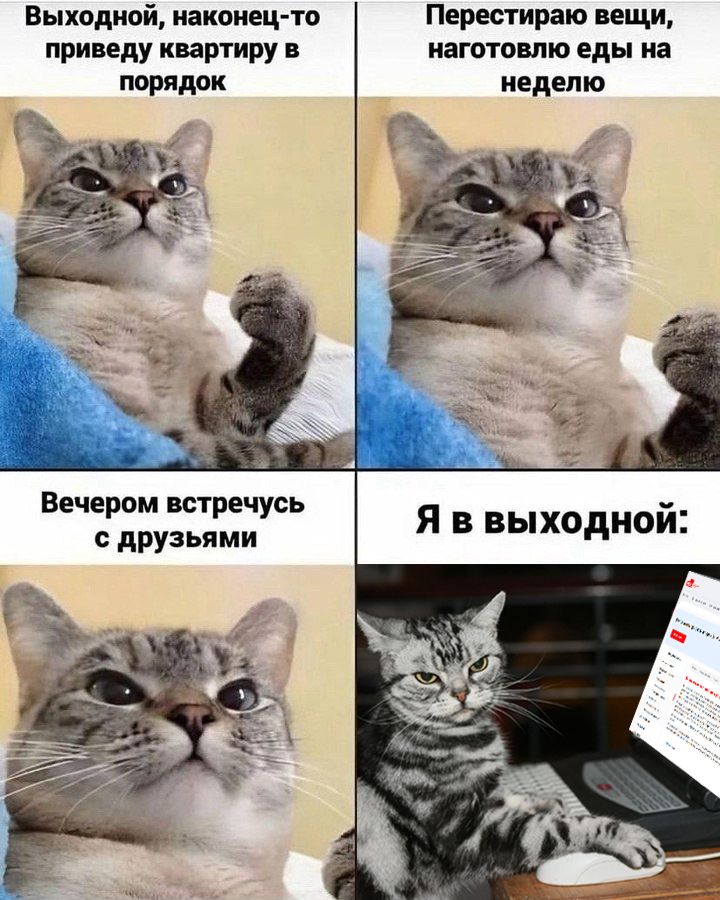 Московская биржа увеличивает количество биржевых фондов на торгах выходного дня  С 16 августа на фондовом рынке Мосбиржи инвесторы смогут совершать сделки в выходные дни с паями еще двух БПИФ.   БПИФ «ПСБ – Денежный рынок»  PSMM, RU000A108G96  под управлением УК «Промсвязь»    Фонд активного управления с инвестированием в консервативные инструменты денежного рынка с низким риском и высокой ликвидностью.   БПИФ РФИ «Альфа-Капитал Управляемые облигации»  AKMB, RU000A101PN3  под управлением УК «Альфа-Капитал»    Основу портфеля этого фонда составляют корпоративные рублевые бонды первого и второго эшелонов. Инвестиционная цель - долгосрочная доходность, потенциально превышающая ставки по рублевым депозитам в крупнейших российских банках.    Общее количество ценных бумаг, с которыми инвесторы смогут совершать сделки в выходные, достигнет 156, из которых семь – это паи биржевых фондов, остальные - акции российских эмитентов.    Торги в выходные на рынке акций Московской биржи проводятся в календарные выходные  нерабочие  дни - субботу и/или воскресенье - с 9:50 до 19:00 мск и проходят в рамках дополнительной сессии, являющейся частью следующего за выходными торгового дня.      Для снижения рисков волатильности и обеспечения ликвидности ценовые границы в ходе торгов в выходные сужены до 3% от последней текущей цены предыдущего торгового дня.
