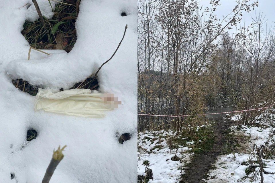 В Барнауле несовершеннолетняя предстанет перед судом по обвинению в убийстве своего ребенка В Алтайском крае 17 летняя мать предстанет перед судом по данным следствия она скрывала беременность от окружающих и в октябре этого года пока родители были на работе родила дома мальчика А затем нанесла младенцу колото резаные ранения и вынесла тело завернув в пакет Его нашли в Барнауле у пруда в лесном массиве Уголовное дело направлено в суд Главное здесь Подписывайтесь