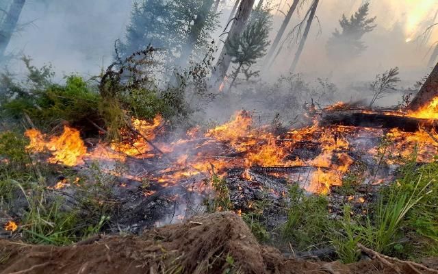 В Бурятии площадь лесных пожаров за сутки выросла почти в 5 раз Площадь лесных пожаров в Бурятии за сутки выросла до 6,3 тыс. га, сообщили в республиканском агентстве лесного хозяйства РАЛХ . «По оперативным данным, утром 7 мая действует 17 лесных пожаров: в Баунтовском эвенкийском и Еравнинском районах, на общей площади 6 252,1 га. Один пожар в Баунтовском эвенкийском районе локализован на площади 580 га», - сказали в ведомстве. Накануне было зарегистрировано 17 пожаров на 1,3 тыс. га. За прошедшие сутки в лесном фонде республики обнаружено шесть возгораний в Баунтовском эвенкийском, Еравнинском и Муйском районах. «Причина возникновения - неосторожное обращение с огнем», - пояснили в РАЛХ. В настоящее время угрозы населенным пунктам нет, в тушении огня задействованы более 290 человек и 56 единиц лесопожарной техники. «Тушение очагов осложняется ветровой нагрузкой, большим количеством горючего материала и мерзлой землей», - отметили в агентстве.