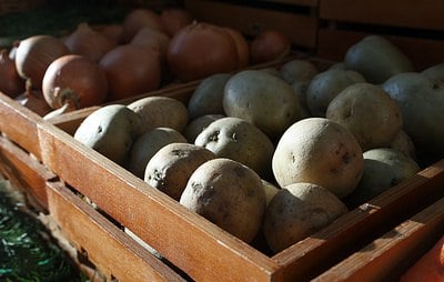 Правительство рассматривает введение таможенных льгот на плодоовощную продукцию  Рассматривается вопрос о введении льгот на импорт картофеля, лука, моркови, капусты и яблок  Парад Мертвых. Подписаться