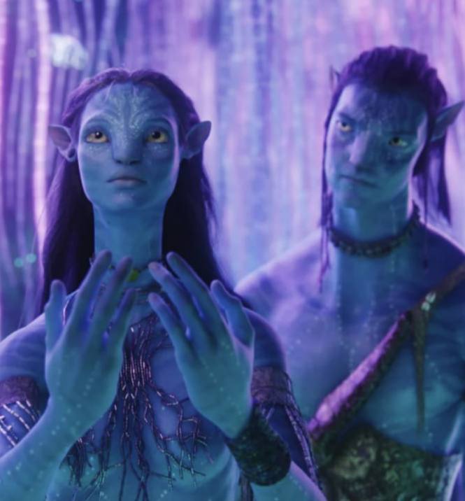 В новогодние праздники в российских кинотеатрах будут показывать только отечественные фильмы сообщает Ассоциация владельцев кинотеатров Зарубежные картины в том числе Аватар 3 и Зверополис 2 вернутся на экраны только с 15 января Среди сетей кинотеатров которые приняли это решение Синема Парк Формула Кино Мираж и Мягкий кинотеатр ВПШ