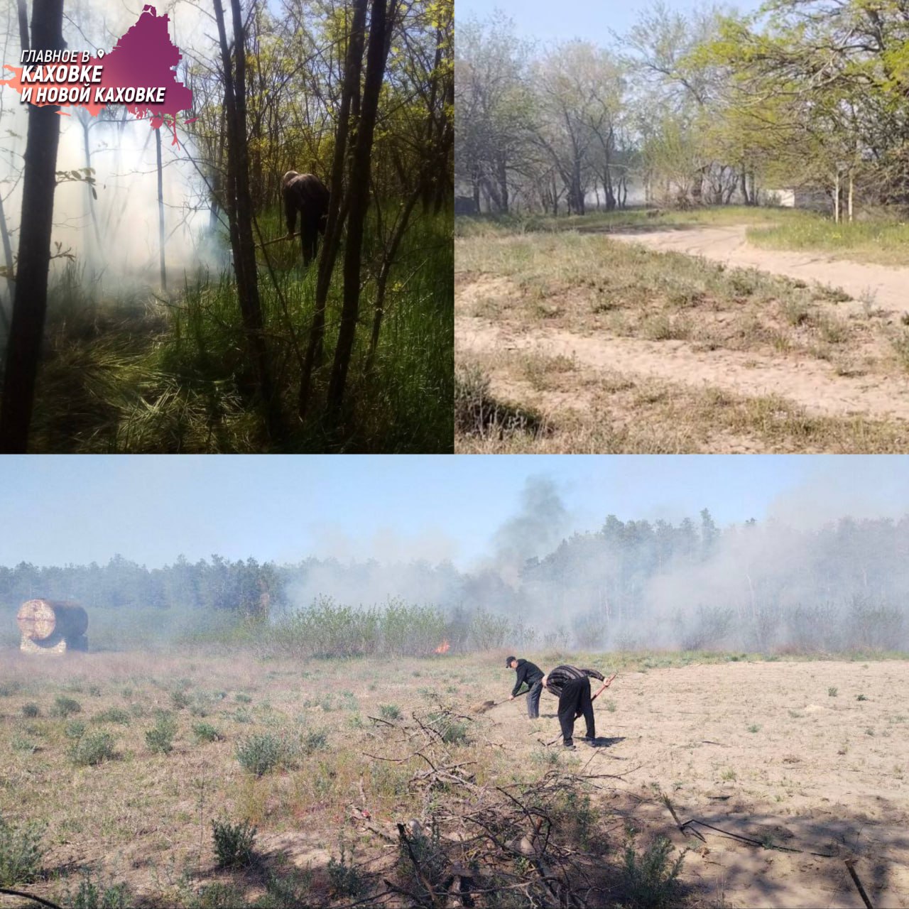 В Голопристанском лесхозе произошло четыре пожара за майские праздники в результате вражеских обстрелов На территории лесного хозяйства зафиксировали четыре возгорания на общей площади 2,35 гектара. Причинами пожаров стали атаки украинских боевиков, сообщили в минприроды Херсонщины. Сотрудники лесхоза совместно с военнослужащими не допустили распространение огня, ущерб лесному фонду минимизирован. Бережное отношение к лесу — важный вклад в сохранение природы нашего края.