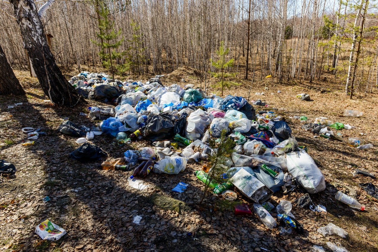 В Салехарде обнаружили огромную стихийную свалку, которая представляет экологическую угрозу  «На территории кооператива накопились огромные объемы мусора. Среди него автомобильные покрышки, строительный мусор и металлические отходы», — сказано в сообщении группы VK «Народный фронт Ямало-Ненецкий автономный округ». Причиной складирования мусора стала недобросовестность владельцев гаражей.  В мэрии сообщили, что ситуацию прокомментирует первый заместитель главы города, сообщает URA.RU.  Подписаться   Прислать новость