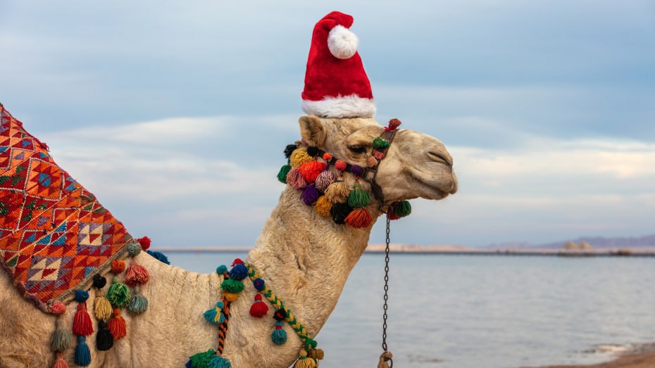 Россияне которые планируют встретить Новый год за рубежом выбирают для поездки страны СНГ Европы и Африки следует из исследования сервиса по покупке авиа и ж д билетов Купибилет Компания опросила более 1 2 тыс человек из городов миллионников и выяснила что 24 опрошенных проведут праздники дома в родном городе еще 23 в гостях у родственников в другом городе России 12 планируют новогоднюю поездку по стране а 9 намерены встретить Новый год за границей Оставшиеся 31 пока не определились с планами По данным Купибилет 24 из тех кто выбрал для празднования Нового года зарубежное направление запланировали поездки в страны СНГ Армения Грузия Азербайджан и др На втором месте европейские страны Италия Франция Германия Нидерланды и др 20 а на третьем Африка Марокко Тунис Египет Сейшелы здесь планируют встретить Новый год 18 респондентов