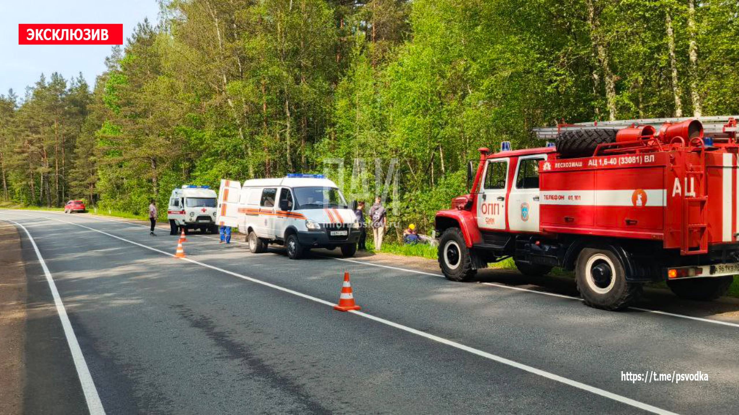 В Гдовском районе на 83 км автодороги Псков-Гдов-Сланцы Mitsubishi Pajero, опрокинулся и частично погрузился в воду. В салоне находились двое пожилых пассажиров и их дочь, зажатая в автомобиле. На месте работают сотрудники ГАИ, спасатели, пожарные, бригада скорой помощи и медицины катастроф, которые проводят операцию по освобождению пострадавшей. Обстоятельна ДТП выясняются.