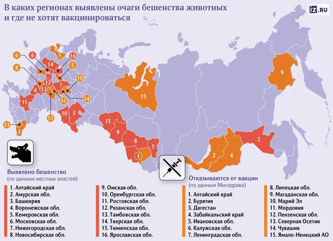 Во многих регионах России зафиксированы очаги бешенства