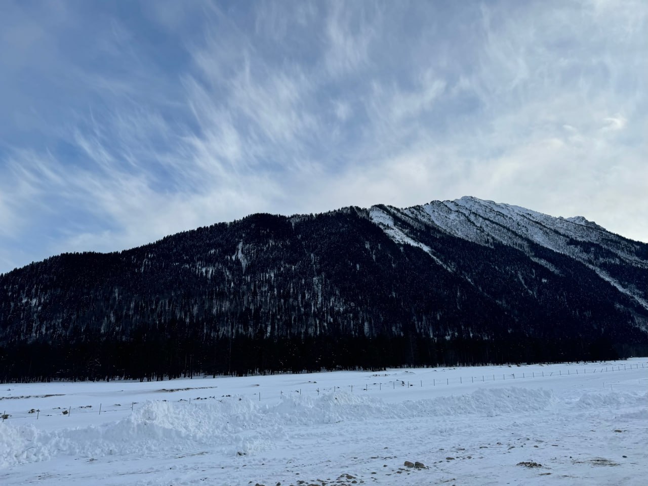 Горнолыжные курорты Северо Кавказского федерального округа ждут рост турпотока на 10 в сезоне 2025 2026 годов В новогодние праздники они уже продемонстрировали положительную динамику Их совокупный турпоток превысил 70 тысяч человек что на 18 больше чем годом ранее Экономикавпечатлений РБК Юг и Северный Кавказ в MAX